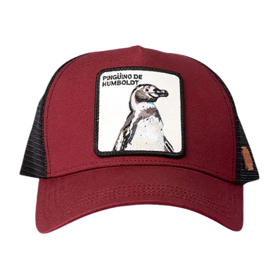 Jockey Unisex Wild Lama Pingüino De Humboldt Burdeo