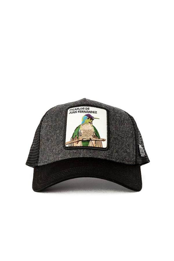 Jockey Wild Lama Picaflor Juan Fernandez Gris